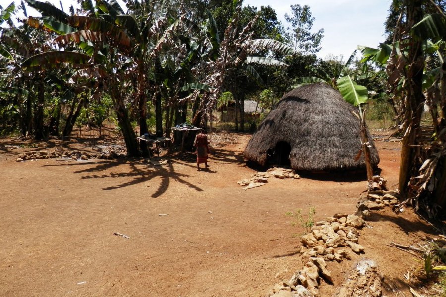 Lopo, l'habitation traditionnelle masculine à Boti