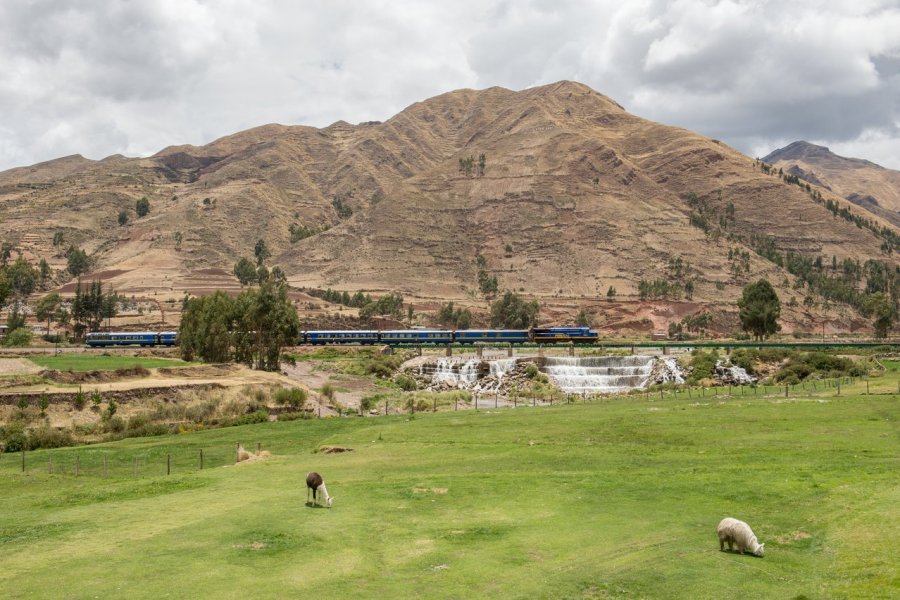 PeruRail Titicaca : vivre un voyage en train mémorable dans les Andes péruviennes