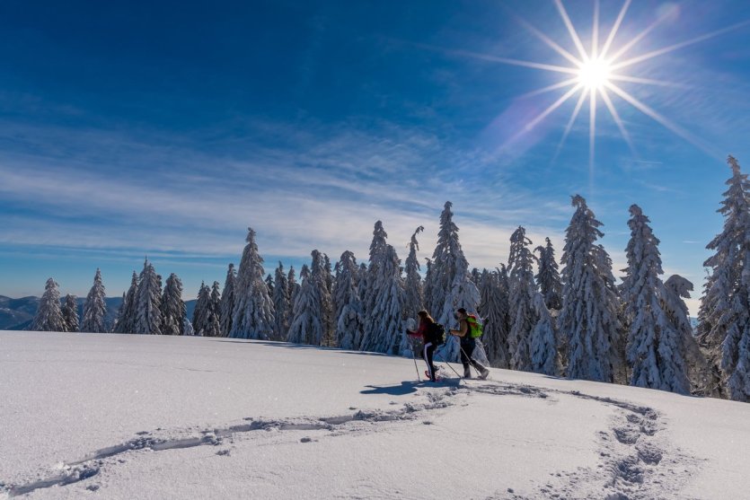 - © Klaus Hansen, Schwarzwaldregion Belchen
