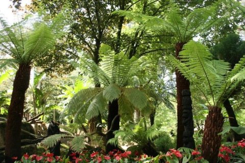 En Bretagne, Tropical Parc s'apprête à lancer sa saison avec deux expositions