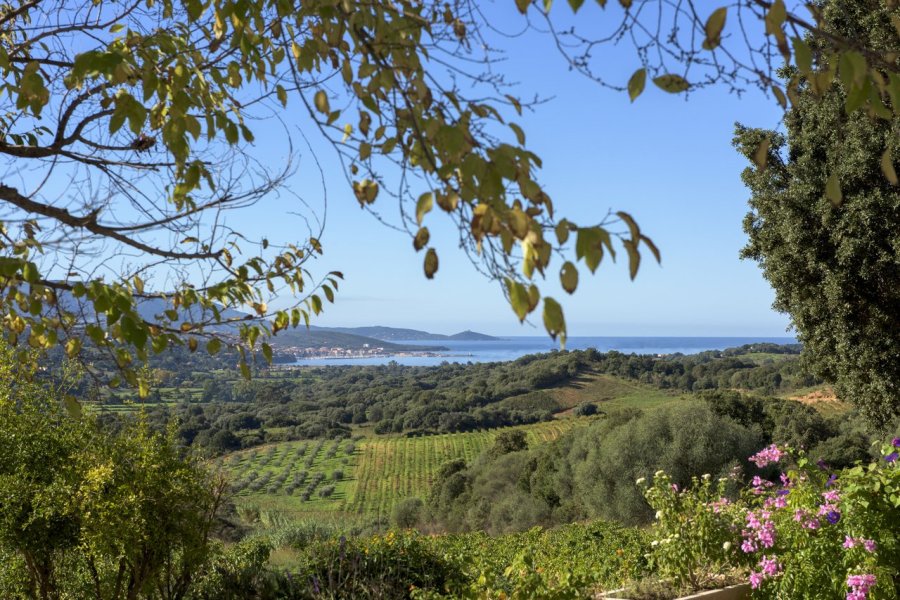 La Route des Sens Authentiques, voyage au coeur de la Corse rurale