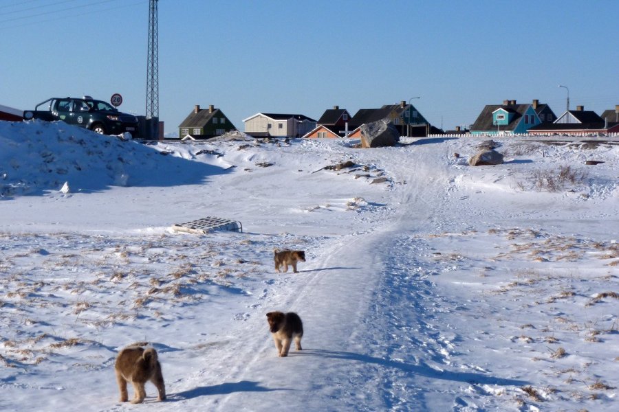 Symphonie hivernale arctique au Groenland - Episode 8/8