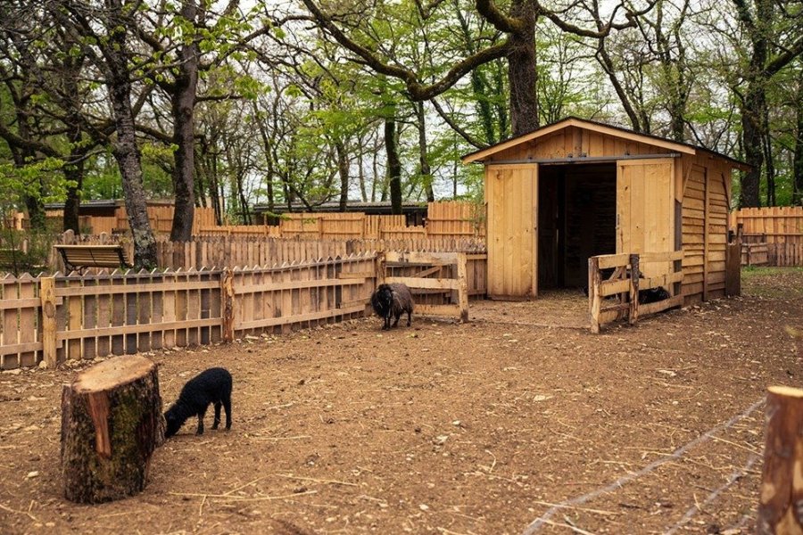 Graine d'Odyssée, nouvelle odyssée à découvrir au parc animalier Zoodyssée