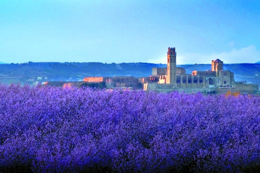 Lleida, à la découverte de la capitale de la Catalogne intérieure