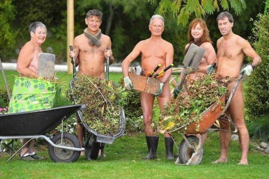 Journée mondiale du jardinage nu : n'oublions pas de protéger nos mains !