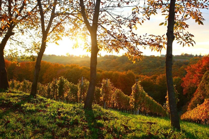 - © MEĐIMURJE COUNTY TOURIST BOARD