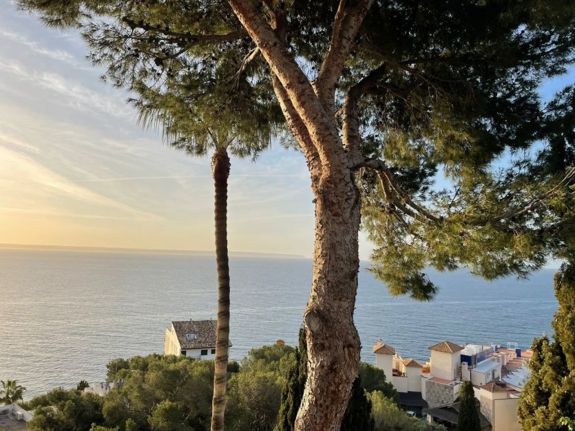 Vue terrasse sur la Baie - Hotel Bonsol Illetes - © Laurent BOSCHERO