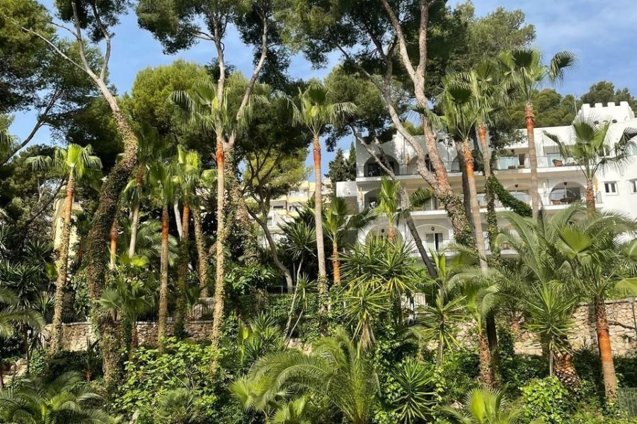 Hotel Bonsol un oasis à Majorque
