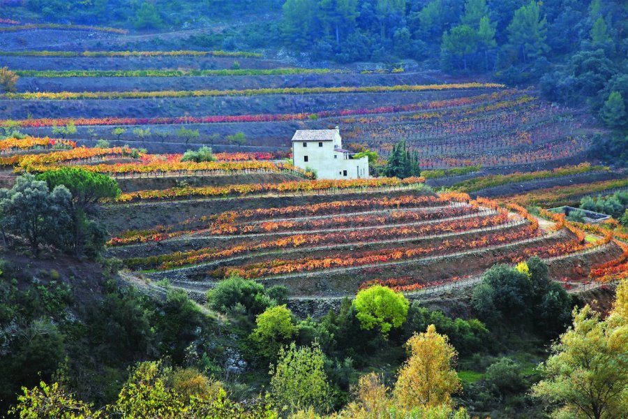 oenotourisme en Catalogne, une destination viticole d'exception