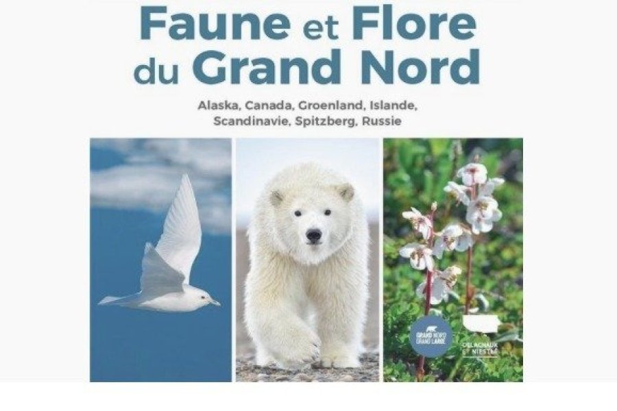 Conseil lecture : un ouvrage pour se familiariser avec la faune et la flore du Grand Nord