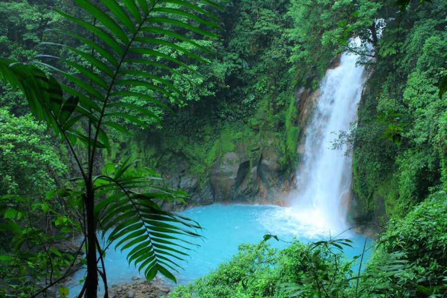 Voyage de rêve au Costa Rica