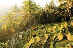 Voyage à Bali, l'île bénie des dieux
