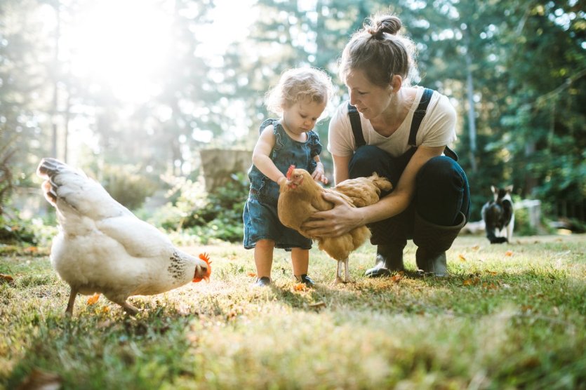 - © RyanJLane - iStockphoto.com