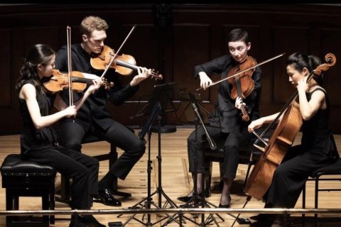 Festival de Quatuors à Cordes : la musique de chambre à l'honneur en Pays de Fayence