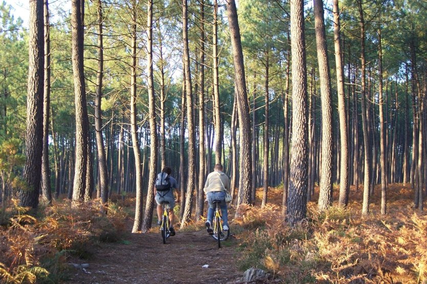 - © CM - PNR Landes de Gascogne