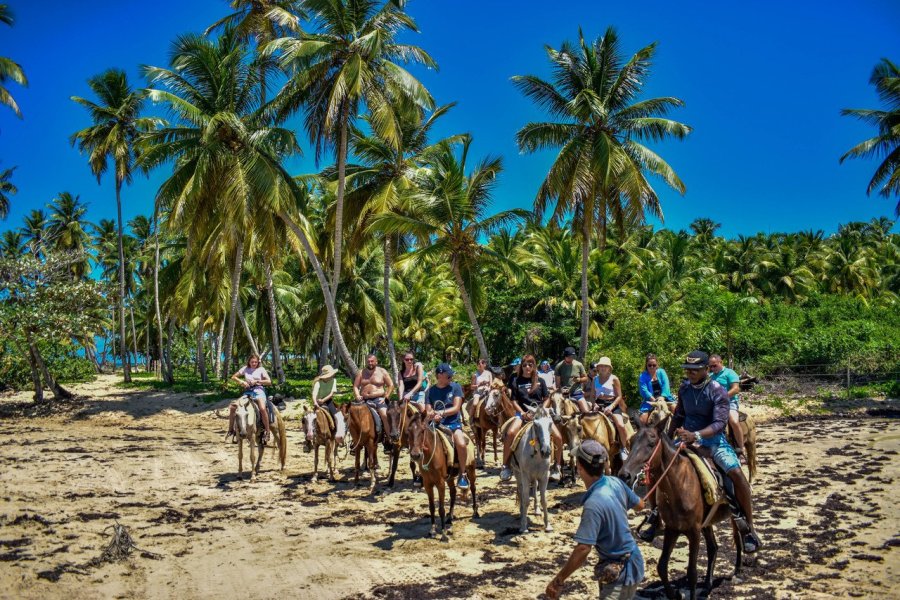 Punta Cana, plage de rêve et nature à explorer