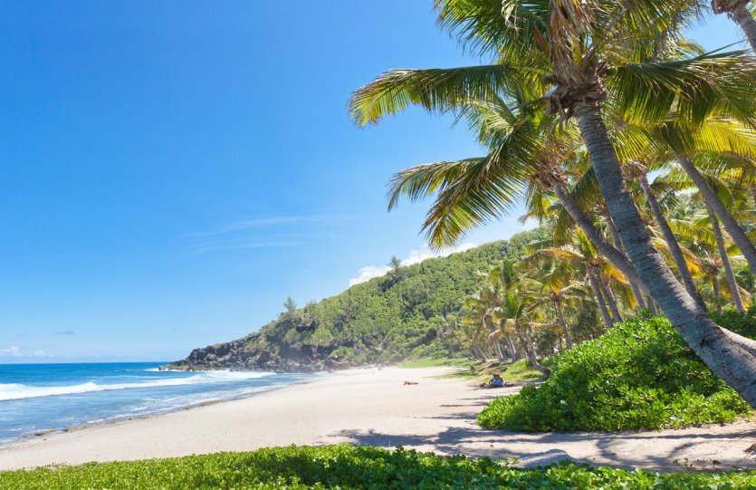 Plage de Grande-Anse - © © Unclesam - stock.adobe.com