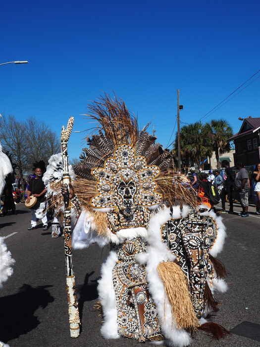 mardi gras indians second line