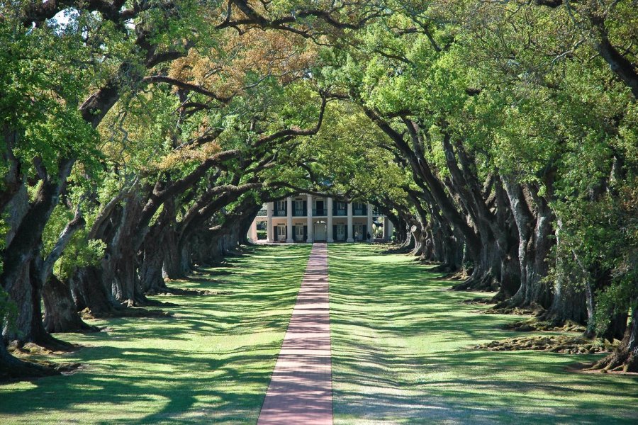 Louisiane : Laissez les bons temps rouler !
