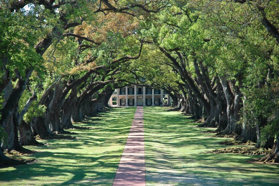 Louisiane : Laissez les bons temps rouler !