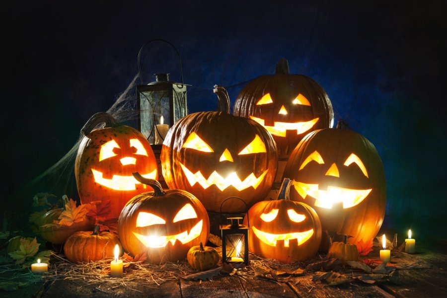 Les incontournables citrouilles d'Halloween