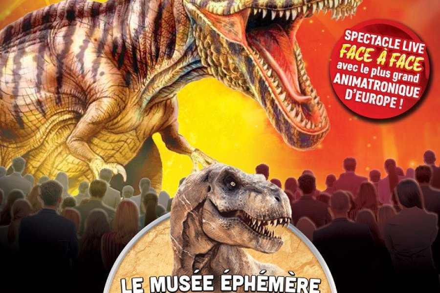Le Musée Ephémère: Les dinosaures arrivent à Vesoul