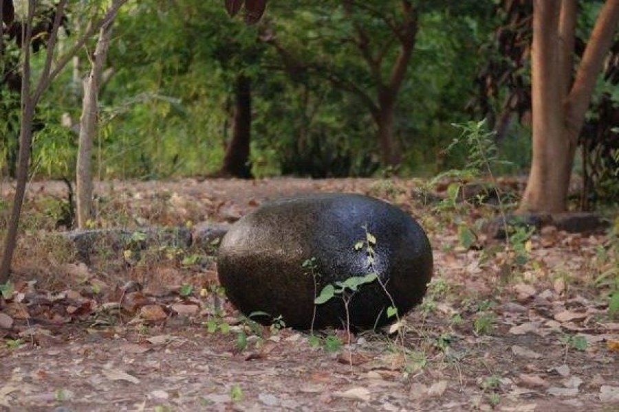 Musée de Grenoble : une exposition pour questionner le rapport de l'humain à la nature