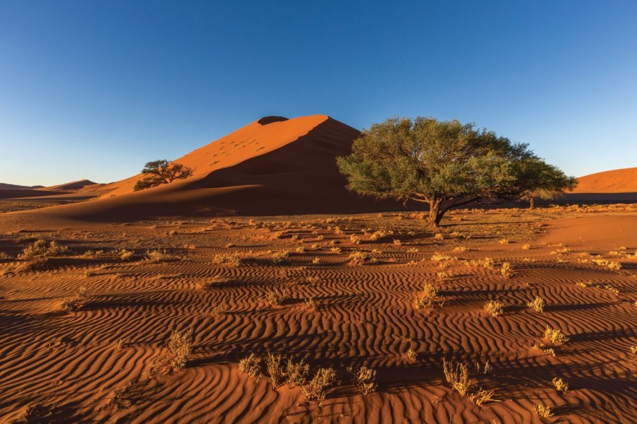 Le Botswana, safari dans une nature à l'état brut