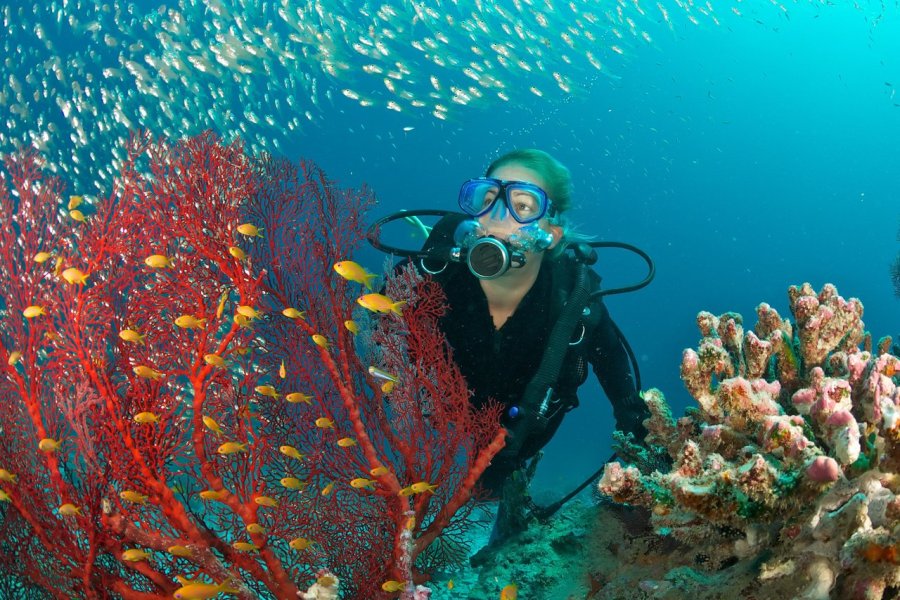 Les différentes façons de faire de la plongée sous-marine