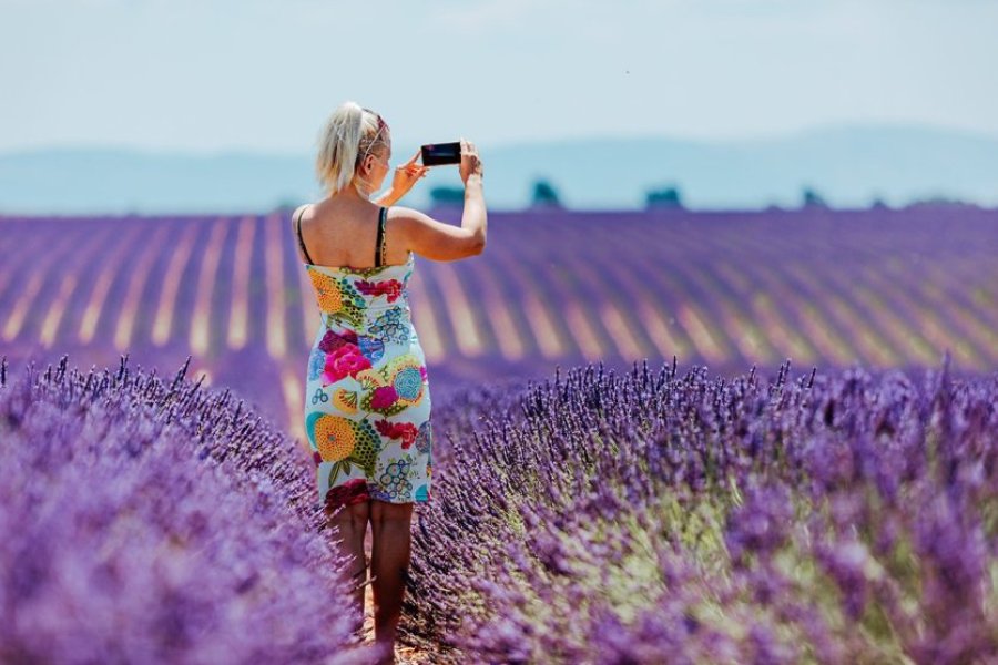 Valensole