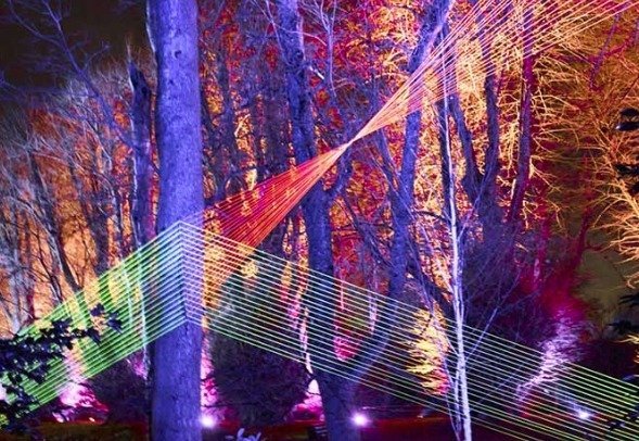 La magie de Noël s'installe au Parc Floral de Paris avec un sublime parcours lumineux : Paris 