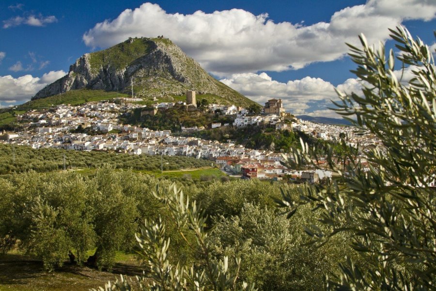 Province de Jaén : mille et une expériences autour de l'huile d'olive