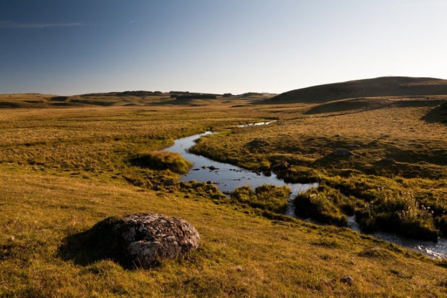 Paysage d'Aubrac