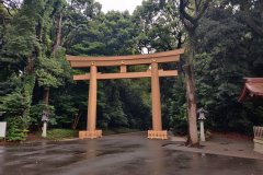 Découvrez Tokyo, la capitale aux mille visages et Toyama, un Japon entre mer et montagnes