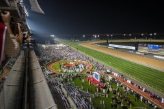 Hats & Horses Ladies Night, du Minorque à Dubai