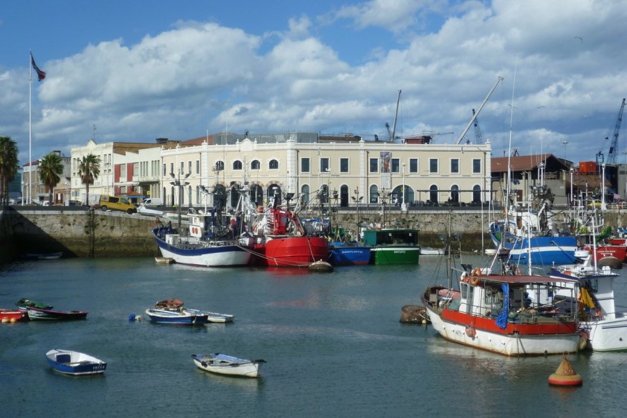 Voir les baleines à Santurtzi