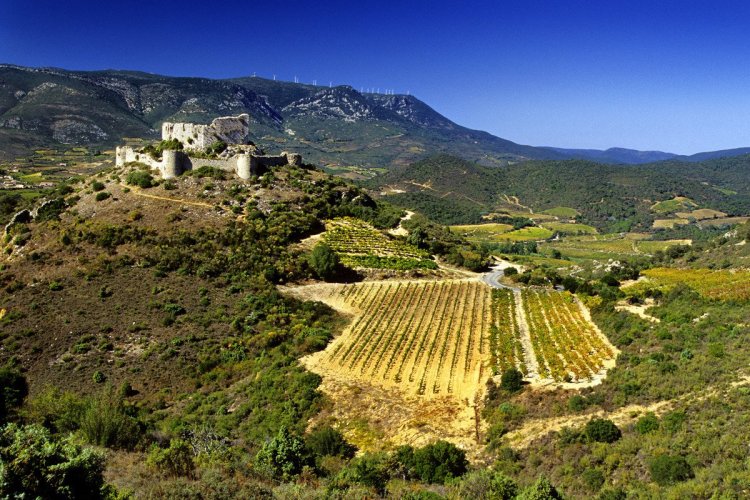 Accueil vigneron - © Gilles Deschamps
