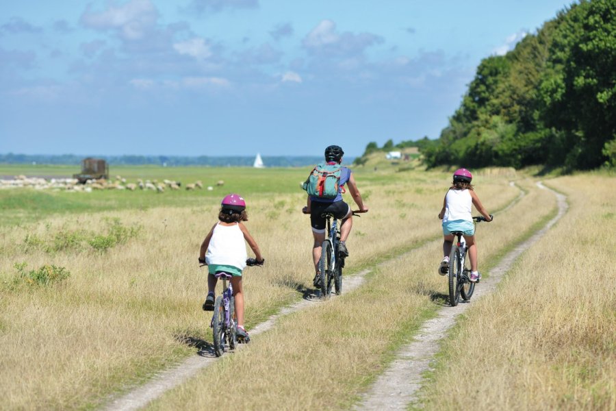 La Baie de Somme, une destination 100 % nature