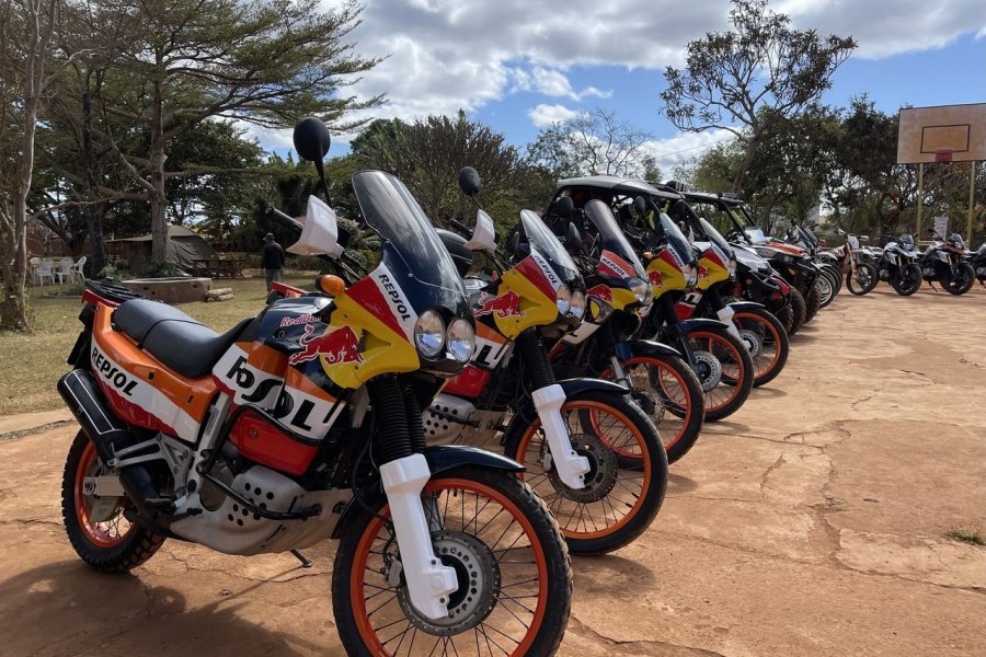 Naissance à Madagascar d'Africa Twin Legend