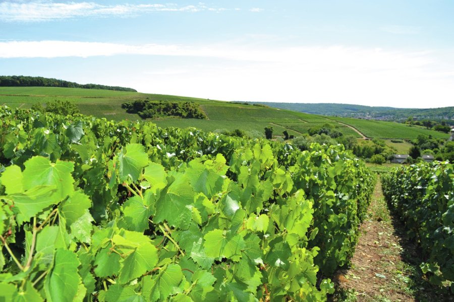 Les Portes de la Champagne, une région aux multiples facettes