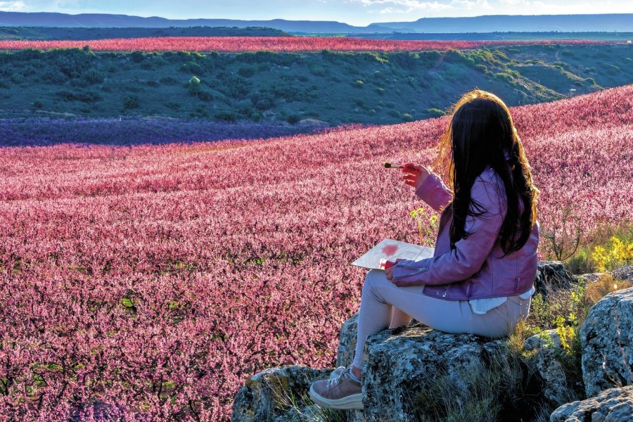 Au coeur de la Catalogne : Lleida, ville nature et culture