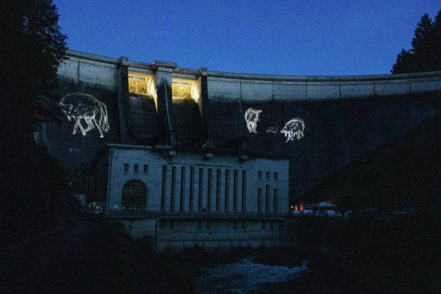 Songe d'une nuit d'été : exposition au Musée régional d'Auvergne