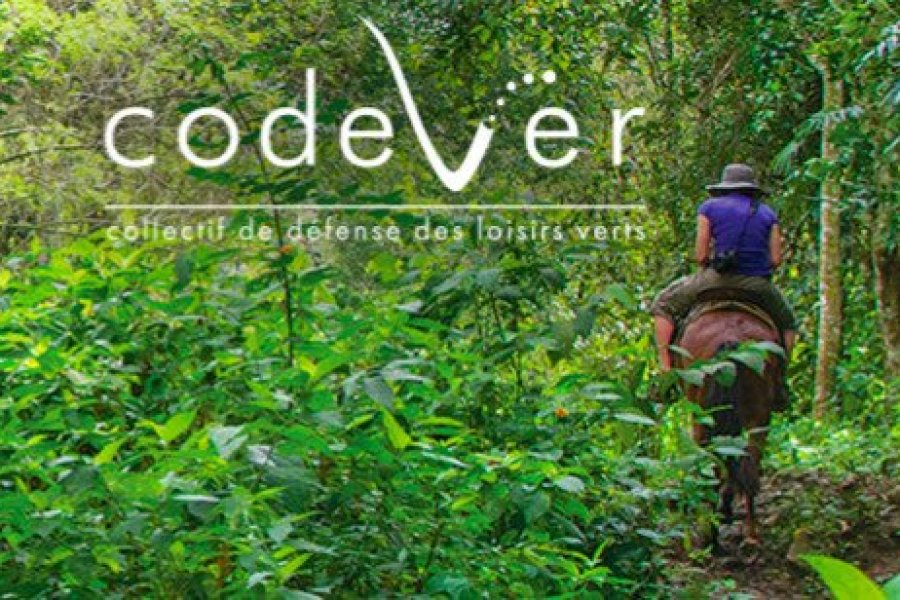 Conseil lecture : parution de la 3e édition du Guide Pratique du Codever