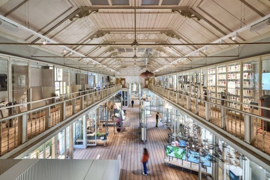Visiter l'ARTIS-Groote Museum à Amsterdam : tout ce qu'il faut savoir en 2025