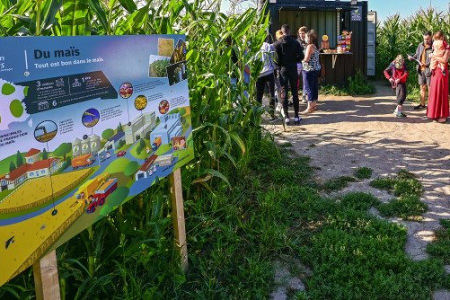 Un Pop Corn Labyrinthe à Rouen pour s'amuser en pleine nature !