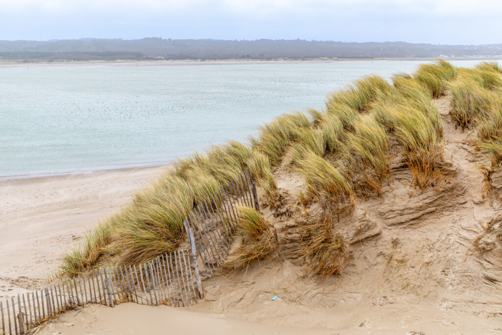 Dunes du Touquet-Paris-Plage