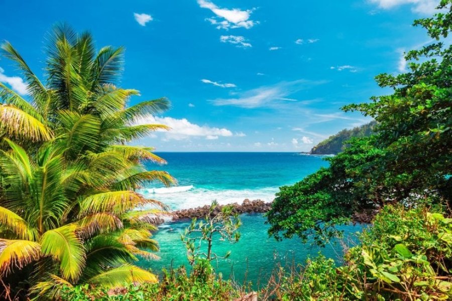 Que faire sur l'île de La Réunion ? Les 13 incontournables