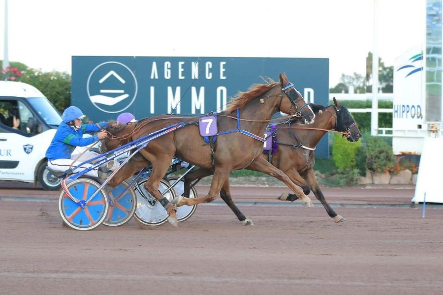 Les nuits d'été à l'hippodrome de Cagnes-sur-Mer du 10 juillet au 26 août