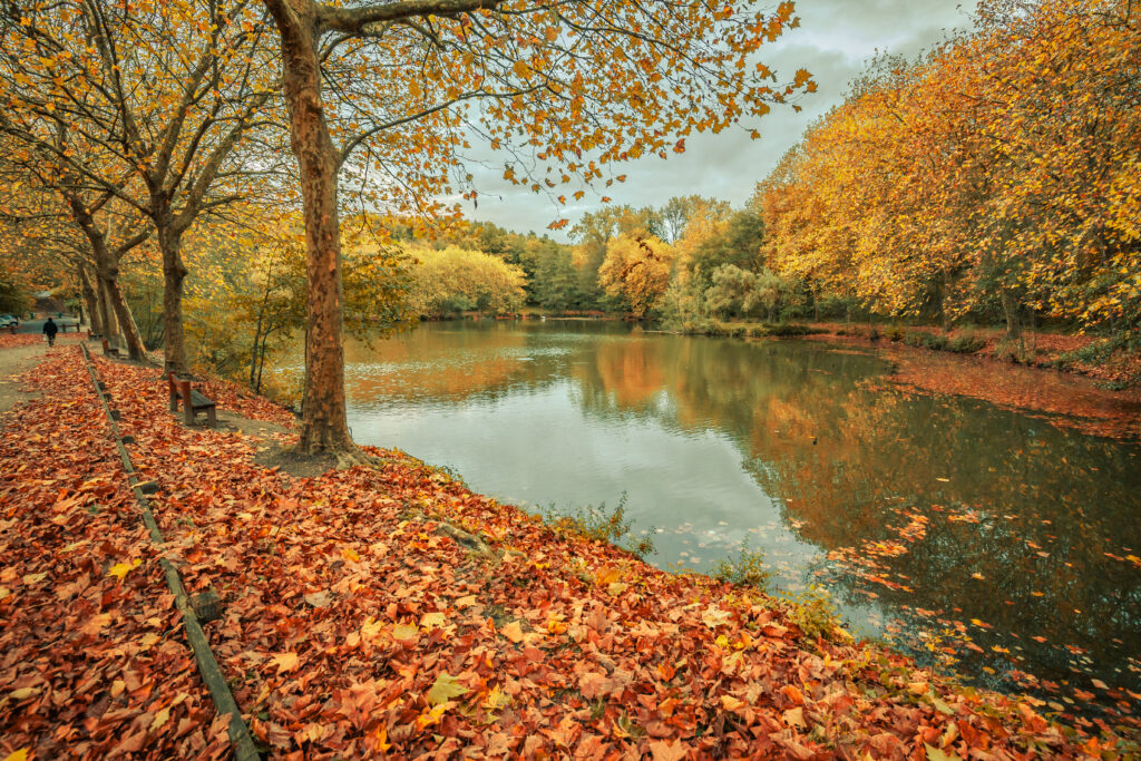 13 randonnées autour de Paris : Bois de Clamart