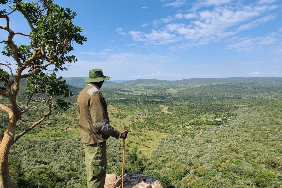 Le joyau du Masai Mara